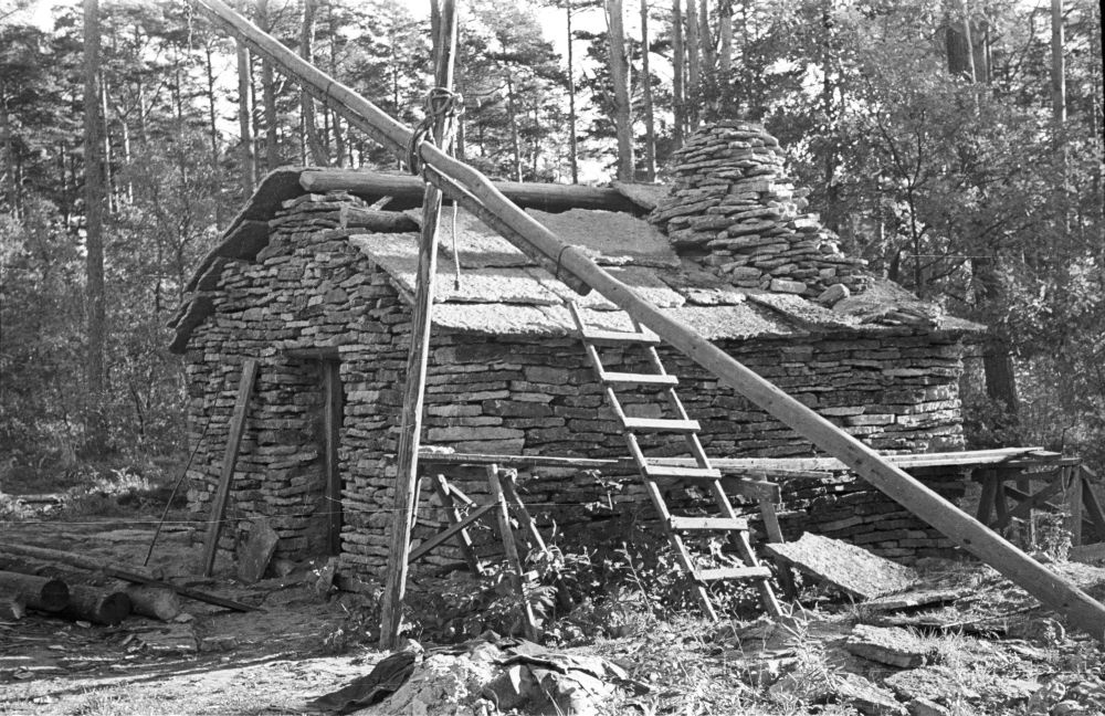 Pulga talu sepikoda.