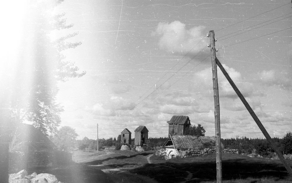 Kõõru küla tuulikud külatee ääres.