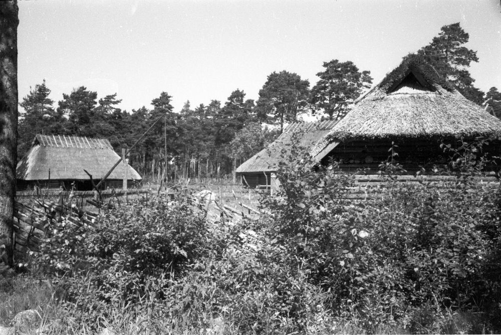 Köstriaseme talu õu.