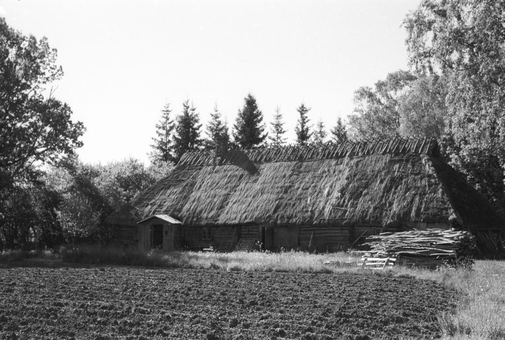 Tiige talu rehemaja Tõnumaa külas, eestvaade.