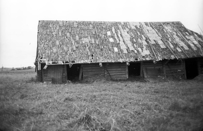 Ait Pöögli (Pöögle) asunduses.  similar photo