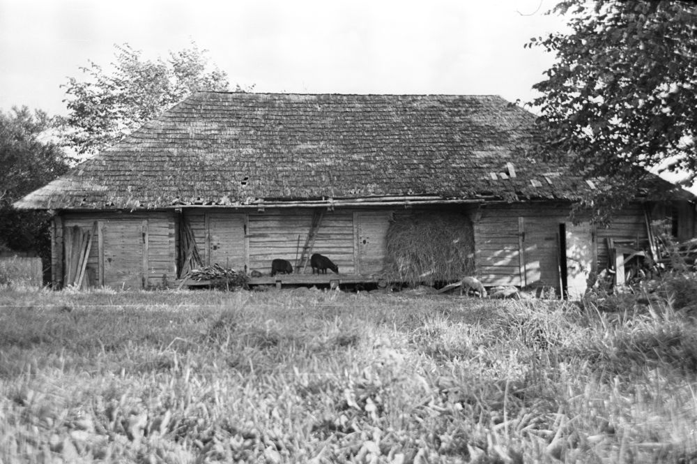 Mägiste talu ait Mägiste külas, eestvaade.