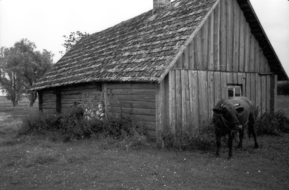 Koorde-Matsi talu saun Rängle külas, vaade saunakambri otsale.