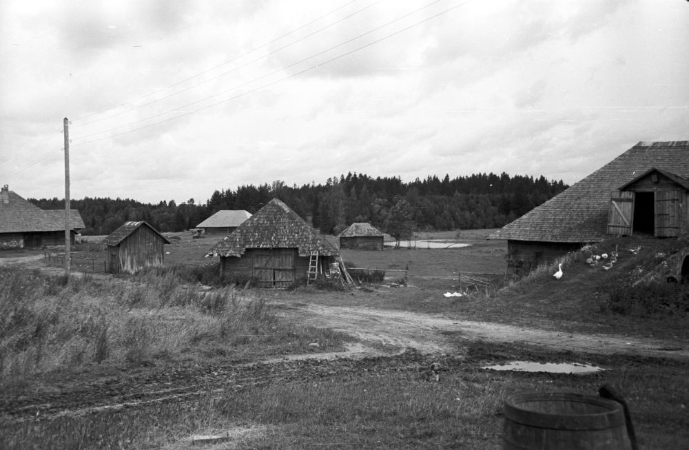 Viraku talu Abja külas, üldvaade.