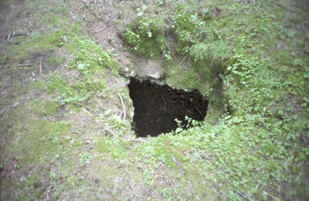 Kuimetsa karstiala