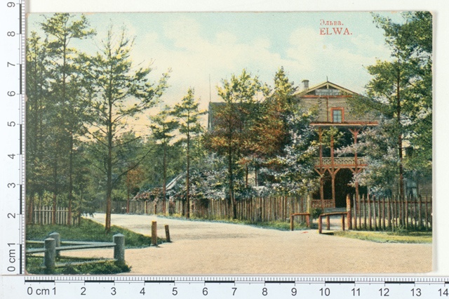 Elva view