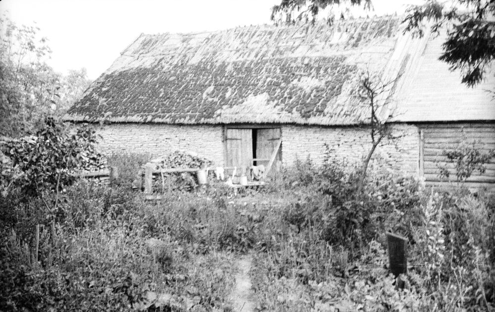 Mudaaugu talu rehealune Pehka külas