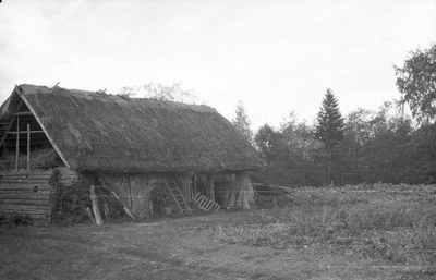 Kangru-Aadu talu laut Äärepere külas  duplicate photo