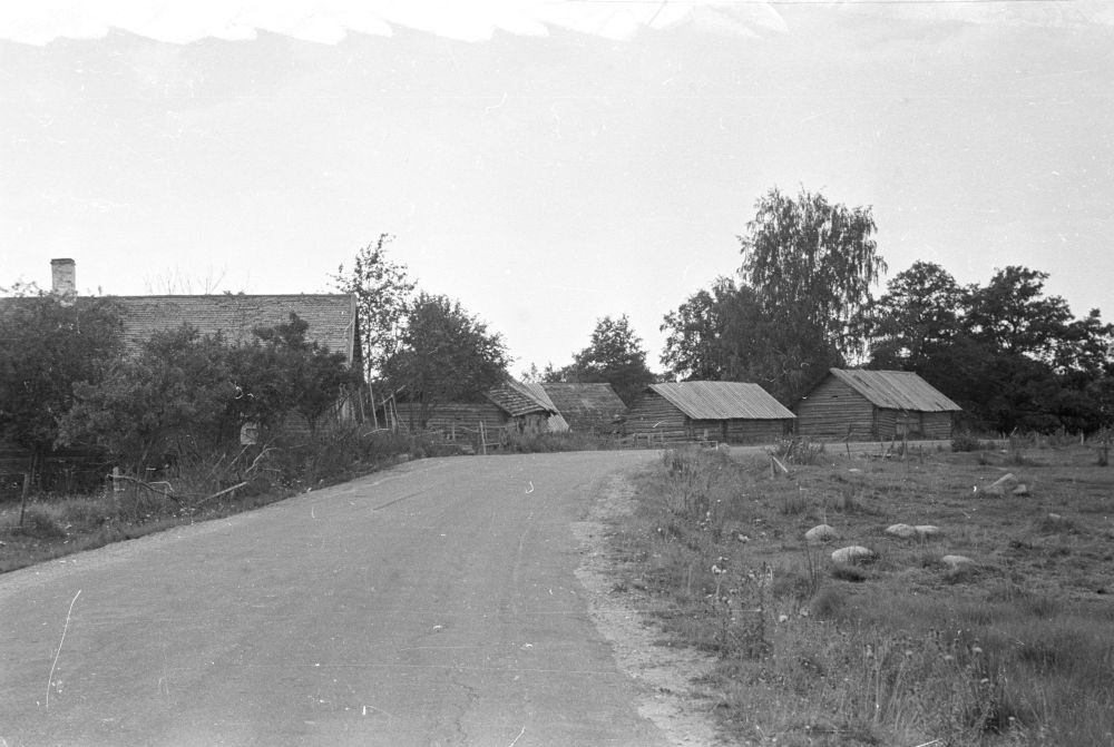 Uuetoa ja Tõnikse talud Suurpea külas.