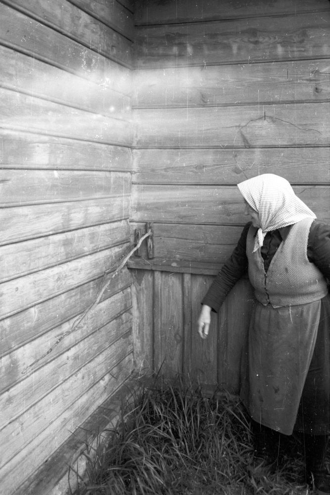 Kuuseoksast baromeeter.