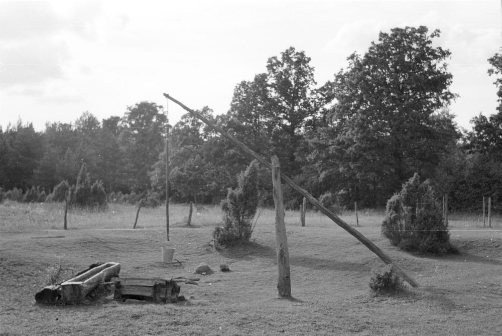 Kaev (vinnkaev) Lahama talu karjamaal.
