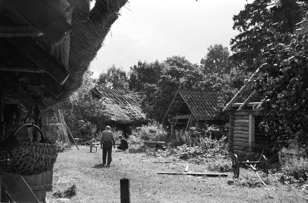 Tooma talu õu Koikla külas.