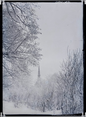 Niguliste kiriku torn  duplicate photo