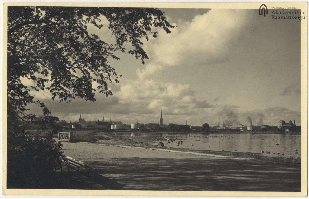 Tallinn Panoram from the beach of Kadrioru