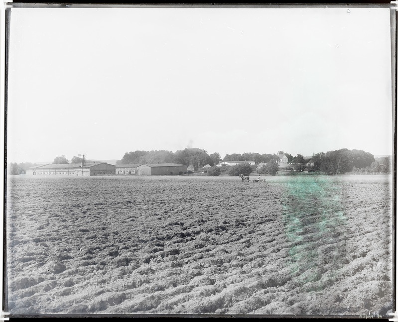 Vaade Jõgeva mõisa majandushoonetele üle põllu. (Laiuse khk)