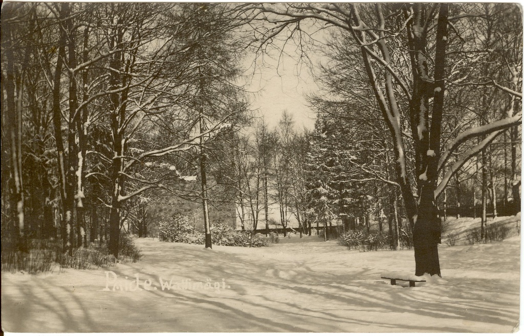 Paide Vallimäe vaade