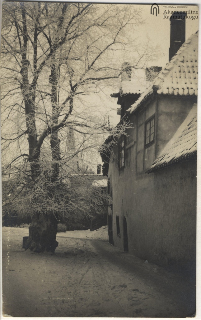 The courtyard of the Niguliste Church