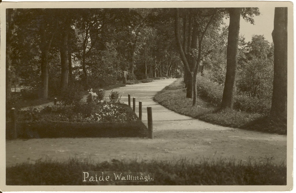 Vallimäe vaade