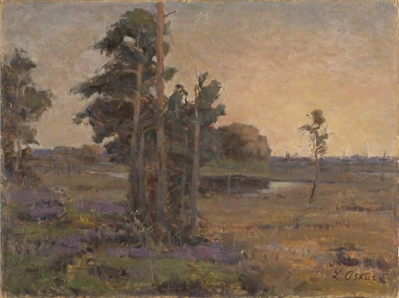 Koitjärve raba männitukaga