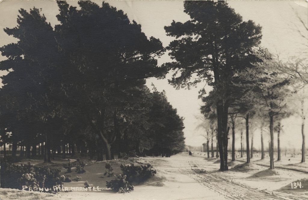 Pärnu-riia highway
