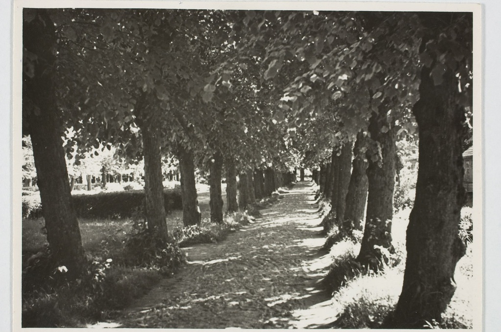 December nim. Pst. End. Föhrmanni nim. Pst 1959. Pärnu khk, Sindi al, Sindi l