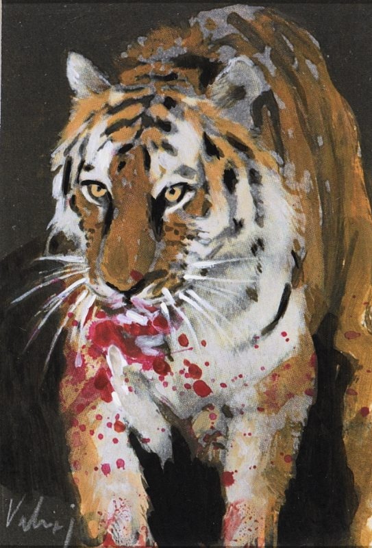 Tsüklist „Siberi fauna“: amuuri tiiger (Panthera tigris longipilis). Sarjast Siberiaad