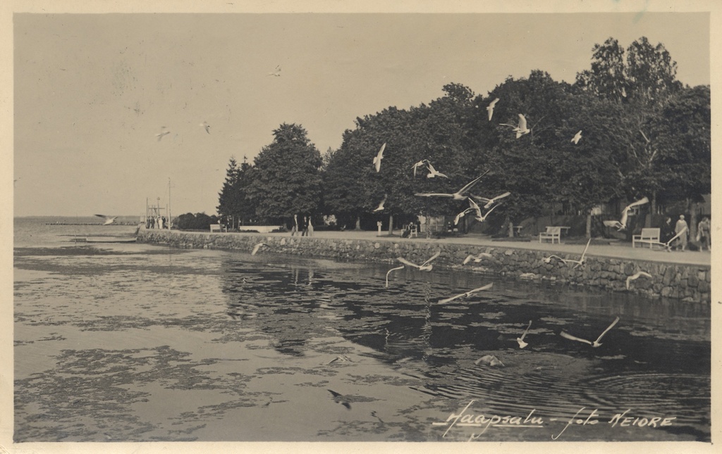 Haapsalu