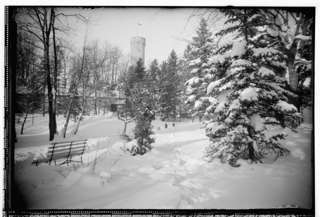 Long Hermann winter (Hirve?) Viewed by the park