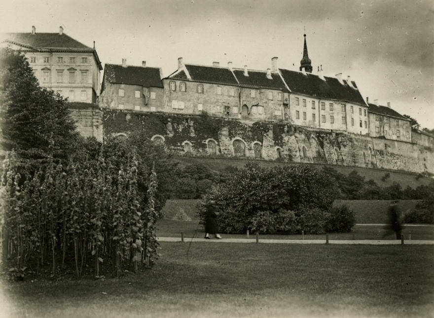 Toompea with a view from Nunne Road