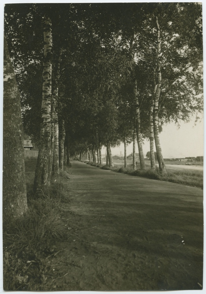 Tallinn, Seyvangi allee Koplis.