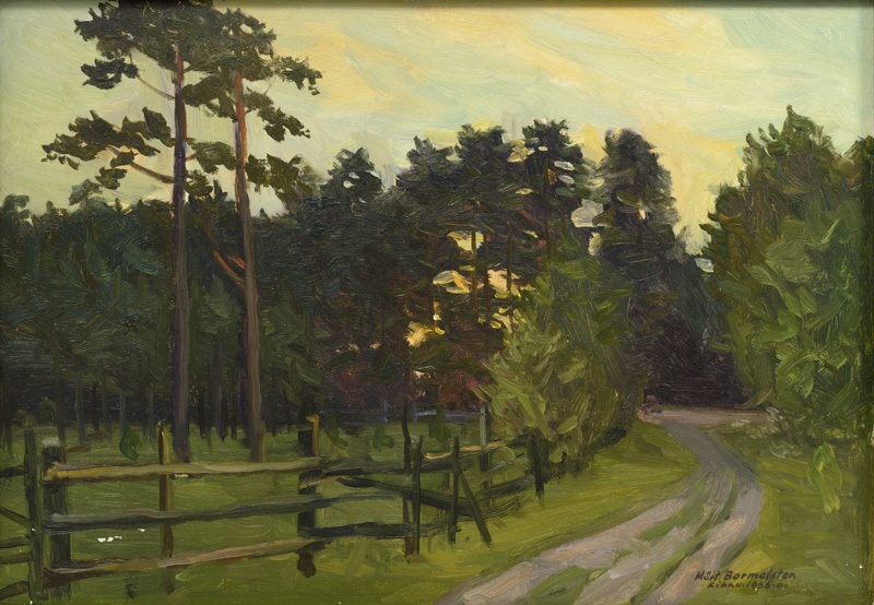 Õhtune metsatukk