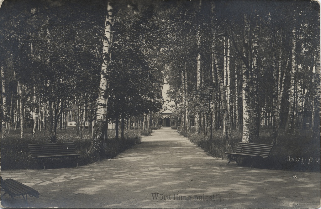 Wõru city puiest