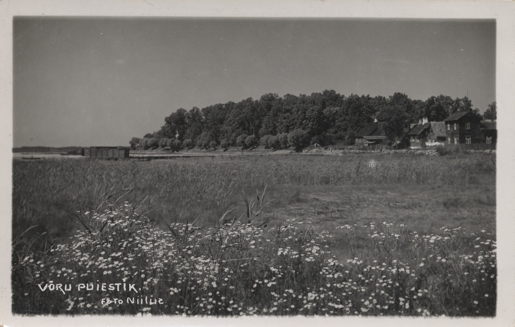 Võru puiestik