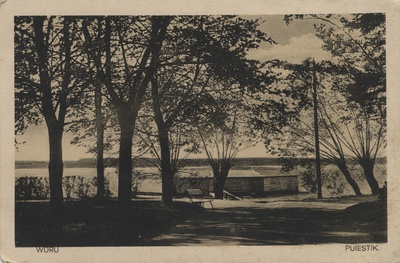 Wõru puiestik  duplicate photo