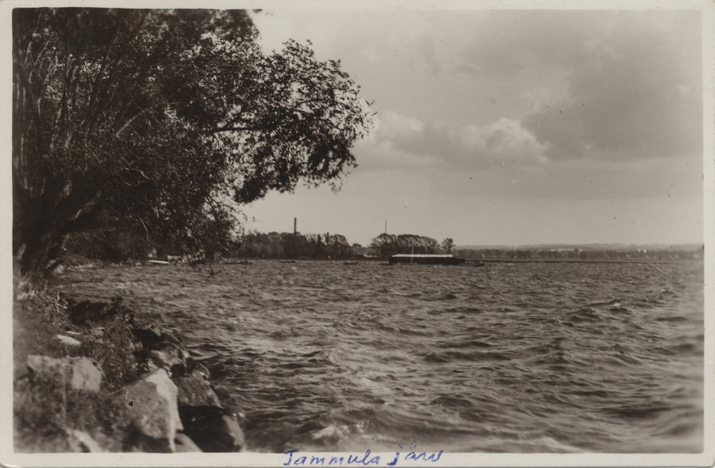 Estonia : Lake Võru Tammula