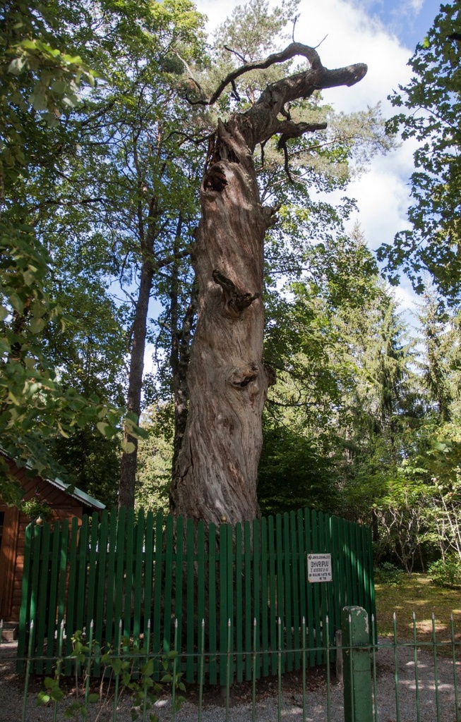 Kuremäe monastery in Estonia rephoto