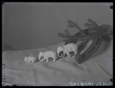 Klaasnegatiivid  duplicate photo