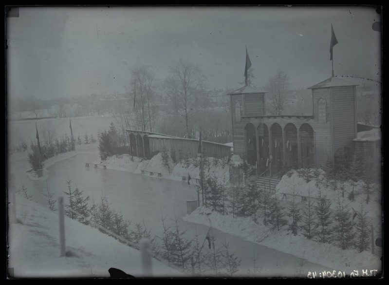 Liuväli Snelli tiigil, Tallinn