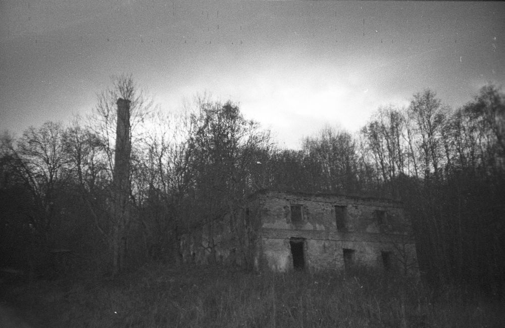 Ruins of the vineyard of Kalvi Manor