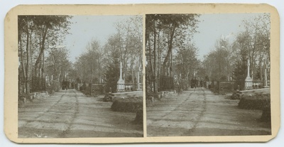 Tallinn, Kopli cemetery.  duplicate photo
