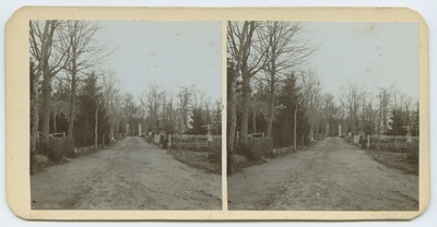 Tallinn, Kopli cemetery.  duplicate photo