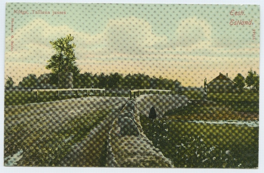 Mõigu, at Tallinn.