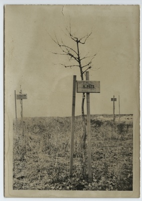 Young trees marked with names Jüriöö hiies Sõjamäel  duplicate photo