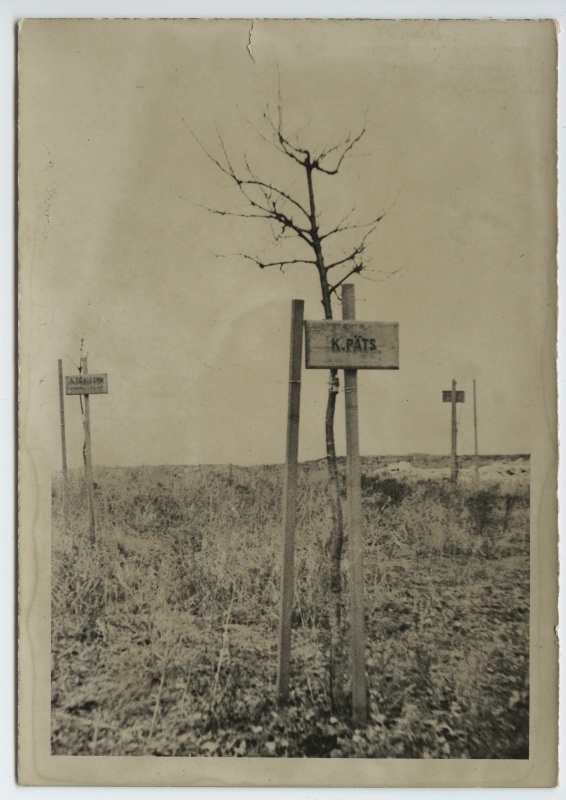 Young trees marked with names Jüriöö hiies Sõjamäel