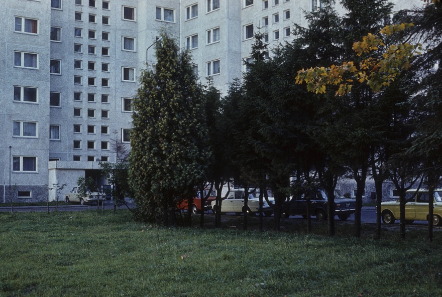 Lilleküla, green area in front of the house