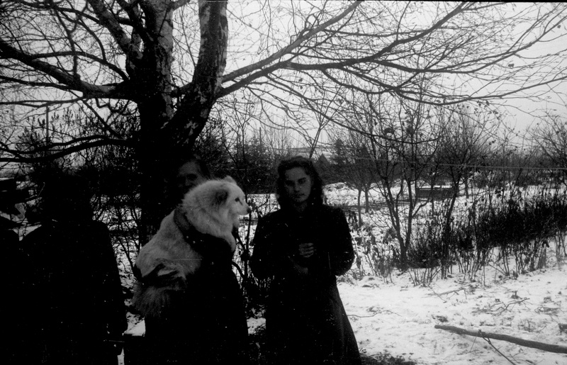 Kolm inimest koeraga talvisel ajal õues