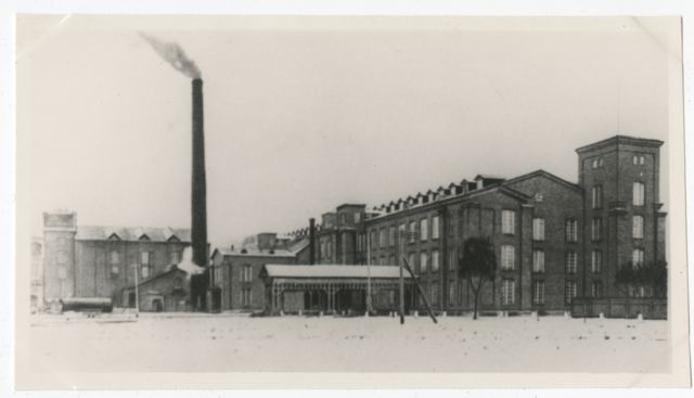 White cotton factory