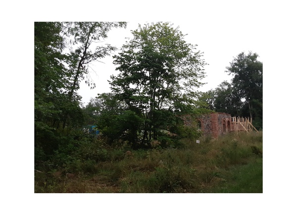 Photo Rivila Manor's cattle board rephoto