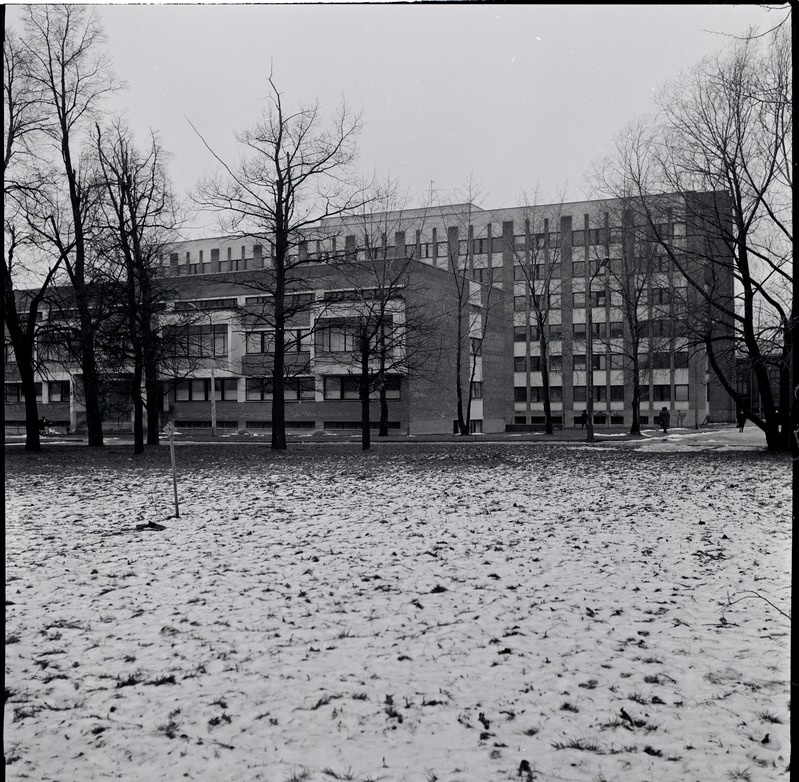 Narva Linnahaigla