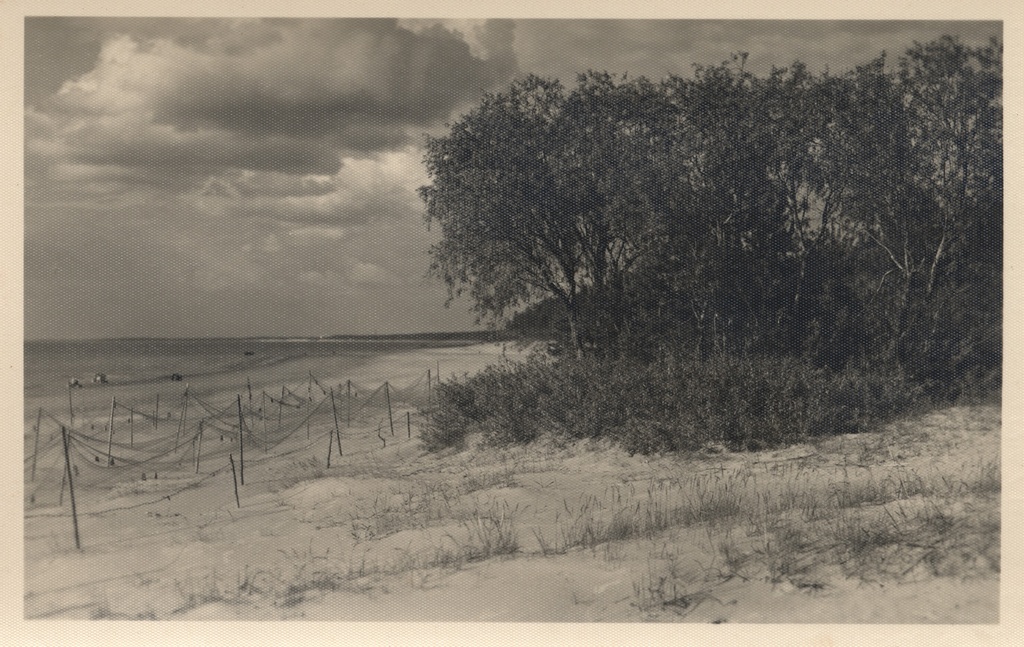 Estonia : Estonian coast : Meriküla Narva-Jõesuu